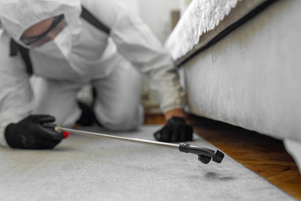 Professional Bed Bug Control technician working in Arden Hills, MN