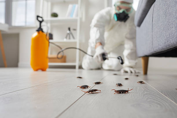 Trusted Rodent Control service in Arden Hills, MN - Nex Pest Control